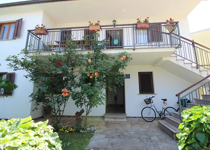 Lisa 2 Near The * Novigrad Istria