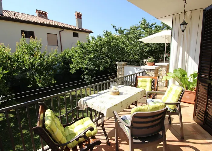 Lisa 2 Near The Novigrad Istria