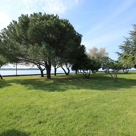 Lisa 2 Near The Novigrad Istria