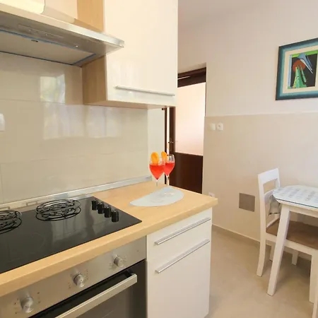 Lisa 2 Near The Novigrad Istria